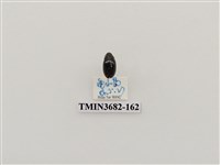 藏品(鞘翅目(2))的圖片